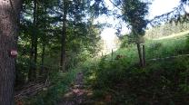 Weg neben der Steinruine
