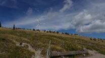 Windräder kurz vorm Roseggerhaus