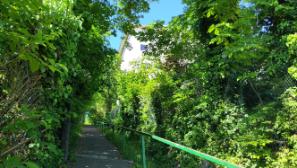 Neben dem Waldsanatorium bergan