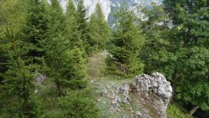 Am Kamm dahin