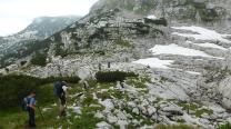 Wiese, Latschen, Felsen, Schnee