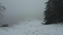 Blick hinab Richtung Gschwendthütte