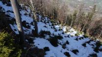 Schnee in der Nordseite