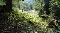 Blick hinauf