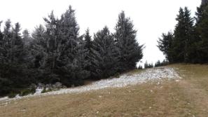 ein paar Schneeflocken auf der Schipiste