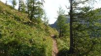 Knappensteig