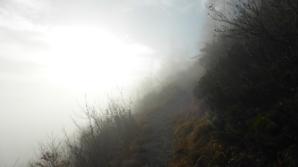 Sonne, Nebel, Weg