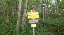 Jägersteig