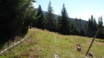 Südlicher Grafensteig