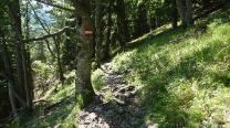 Abstieg am Ferdinand Mayr Weg
