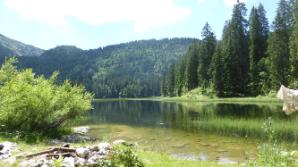 Obersee