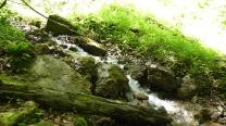Wasserfallbach