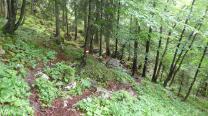 Blick zurück
