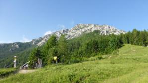 Bei der Edelweißhütte mit Ausblick zum Berg