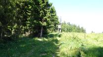 Weiter Richtung Windmantel/Tratenkogel