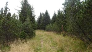 Am Wachthüttelkamm