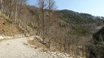 Forststraße