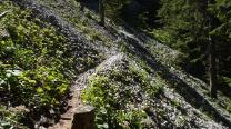 Südlicher Grafensteig