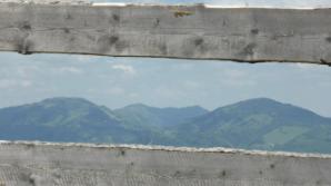 Ausblick zu Reisalpe, Muckenkogel, Hochstaff