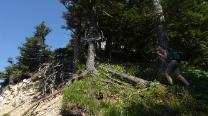 Rast bei der Windscharte
