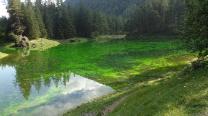 Grüner See