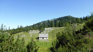 Legsteinalm