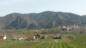 Vogelberg, Ruine, Dürnstein