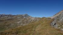 Wiesenpfad