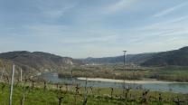 Blick zur Donau