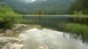 Beim Obersee