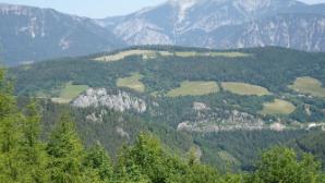 20 Schilling Blick