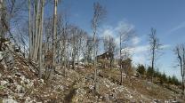 Gleich bei der Hütte