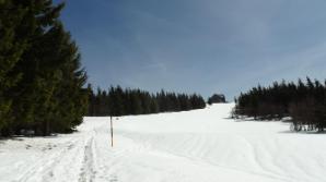 Reisalpenschutzhaus schon nahe