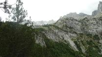 Felsen
