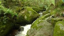 In der Ysperklamm