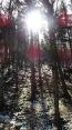 Sonne und etwas Schnee