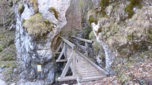 Falkenschlucht Einstieg