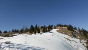 Waldfreundehütte