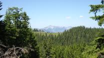 Blick zum Schneeberg