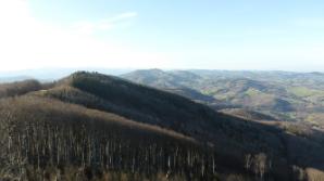 Blick zum Kamm und zum Gföhlberg