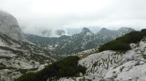 Ausblick