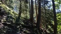 Südlicher Grafensteig