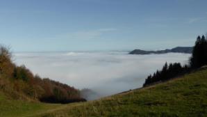 Kurz vor der Lilienfelder Hütte