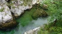 Fischsuchbild