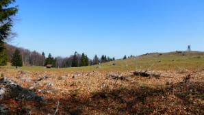 Zwischen Paulmauer und Linsberg