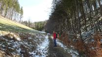 Etwas feucht bergan