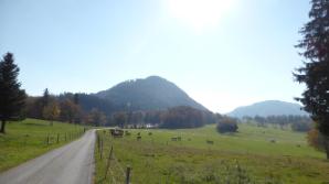 Straße zur Ebenwaldhöhe mit Hochstaff