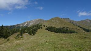 Blick hinauf