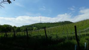 Kahlenberg Sender und Hotel