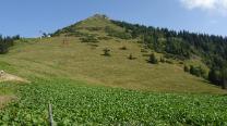Bei der Knappensteig Alm